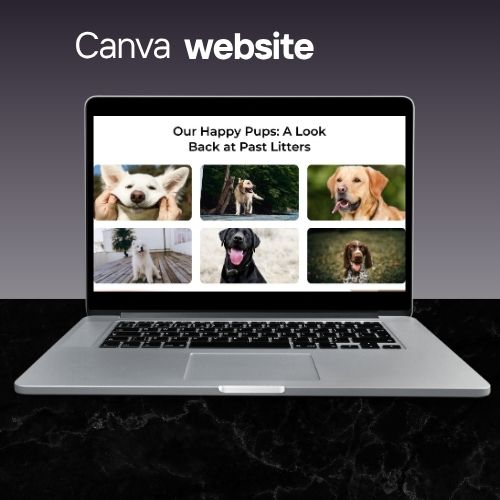 Dog Website Sjabloon | Bewerkbare Canva Website voor Hondendiensten & Dog Brands | Vriendelijk & Mobielvriendelijk Ontwerp